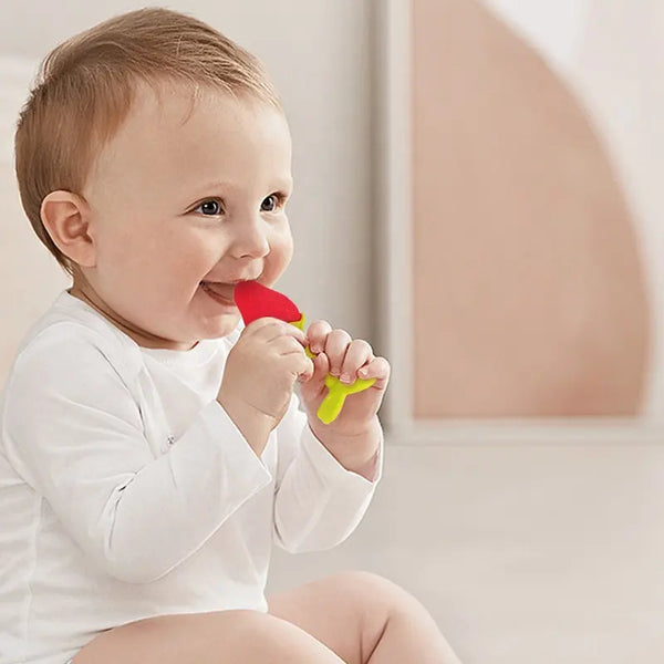 Silicone Fruit Teething Toys Set, Baby Gum Massager