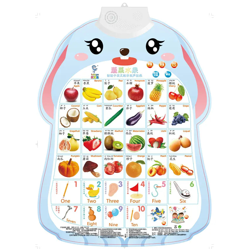 Alphabet Learning Chart Poster for Kids Study