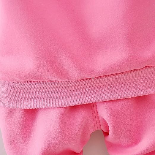 Eboo  Winter Girl’s Pink Floral Hoodie and Sweatpants Set