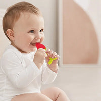 Silicone Fruit Teething Toys Set, Baby Gum Massager