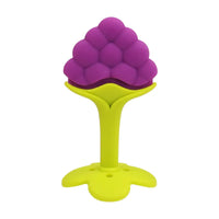 Silicone Fruit Teething Toys Set, Baby Gum Massager